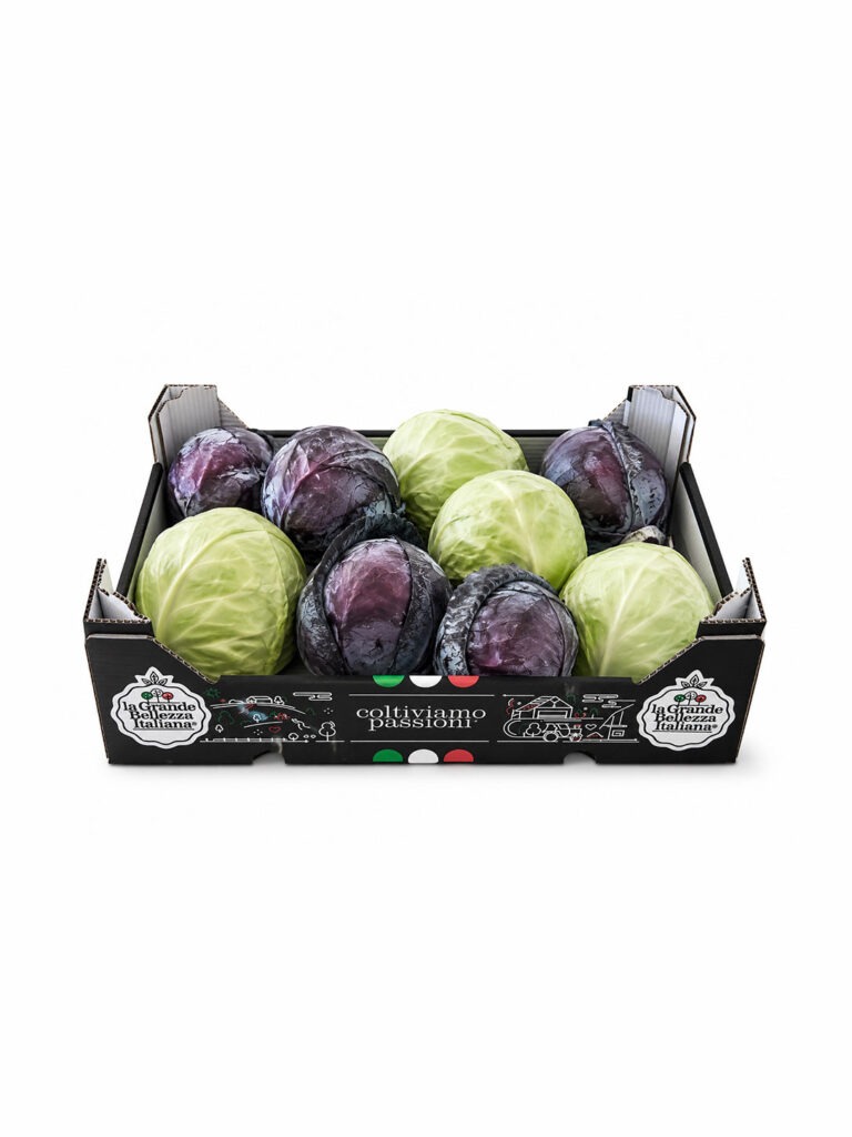 Confezione di Cavolo Cappuccio Tondo