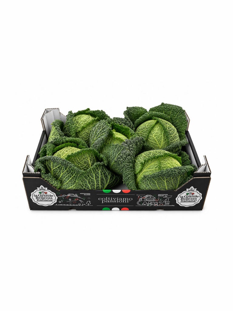 Confezione di Cavolo Verza