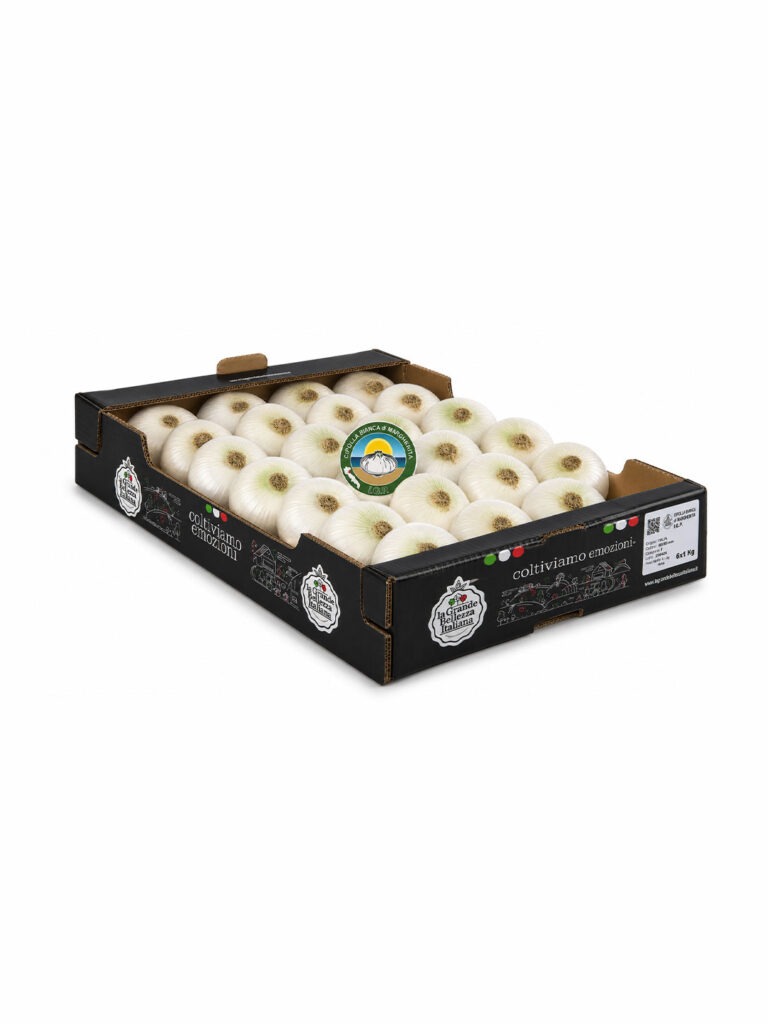 Confezione di Cipolla Bianca di Margherita IGP