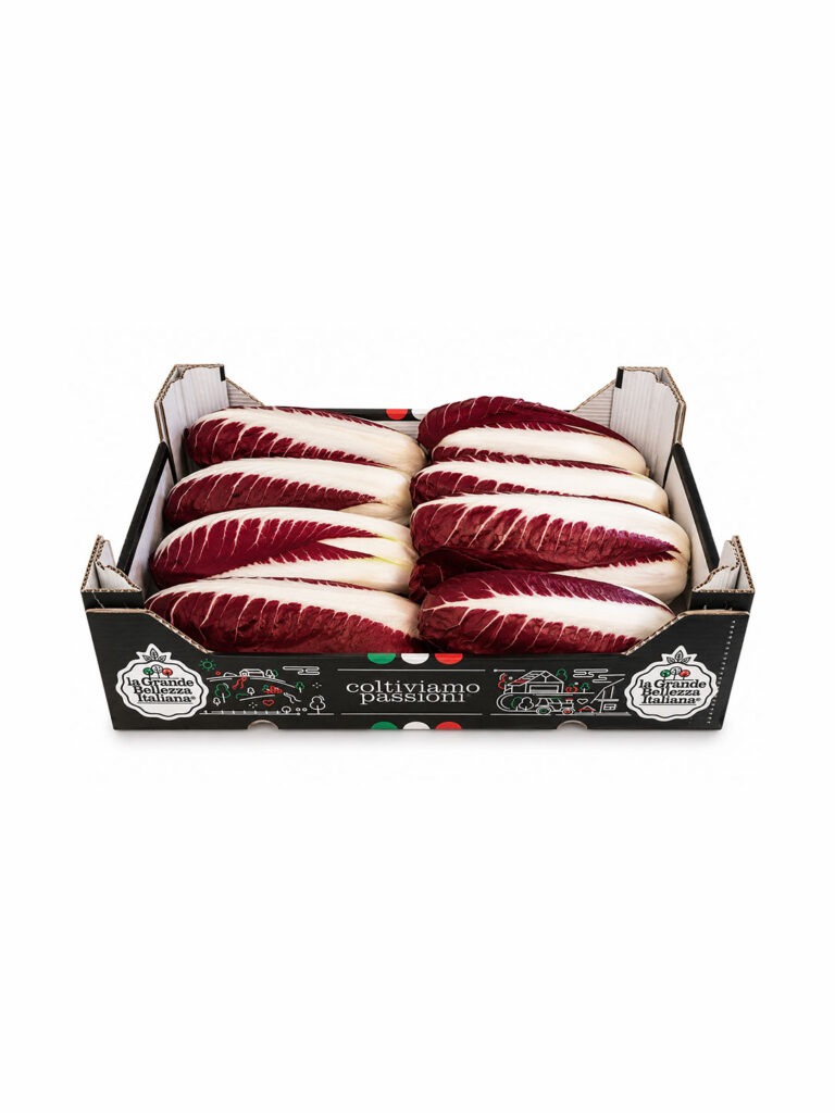 Confezione di radicchio lungo