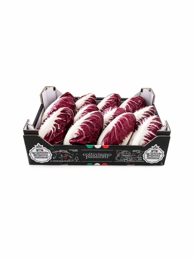 Confezione di radicchio semilungo