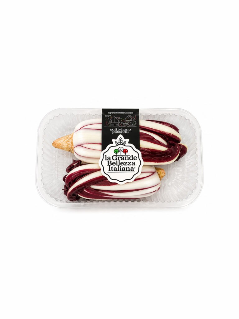 Confezione di radicchio tardivo