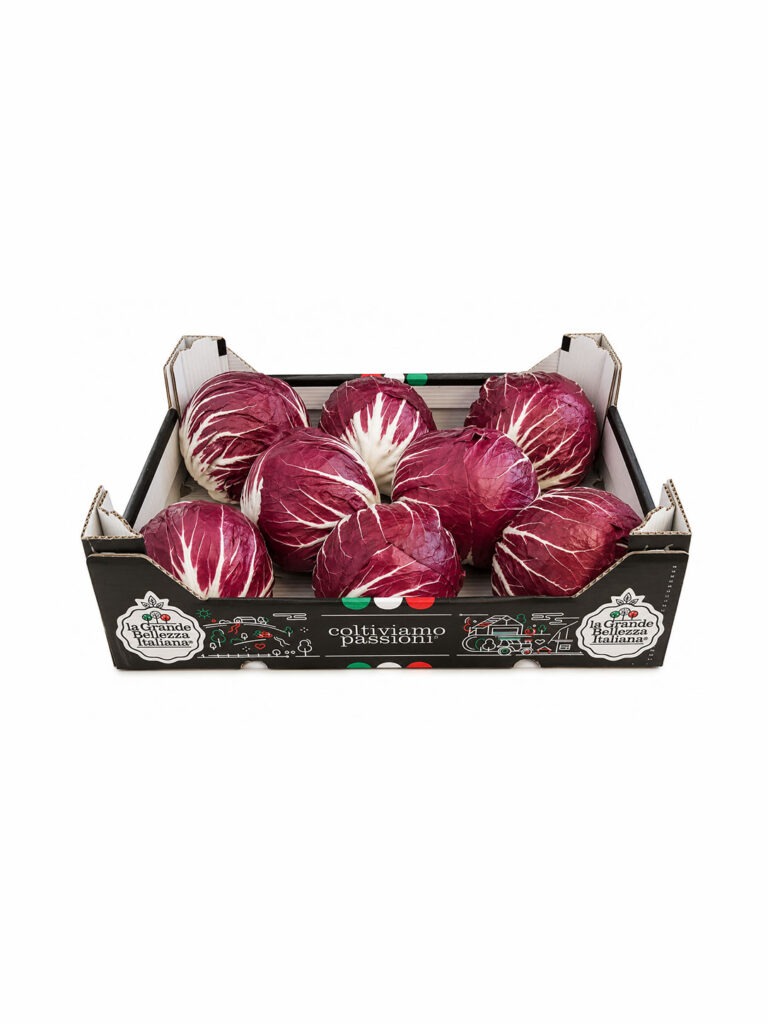 Confezione di radicchio tondo