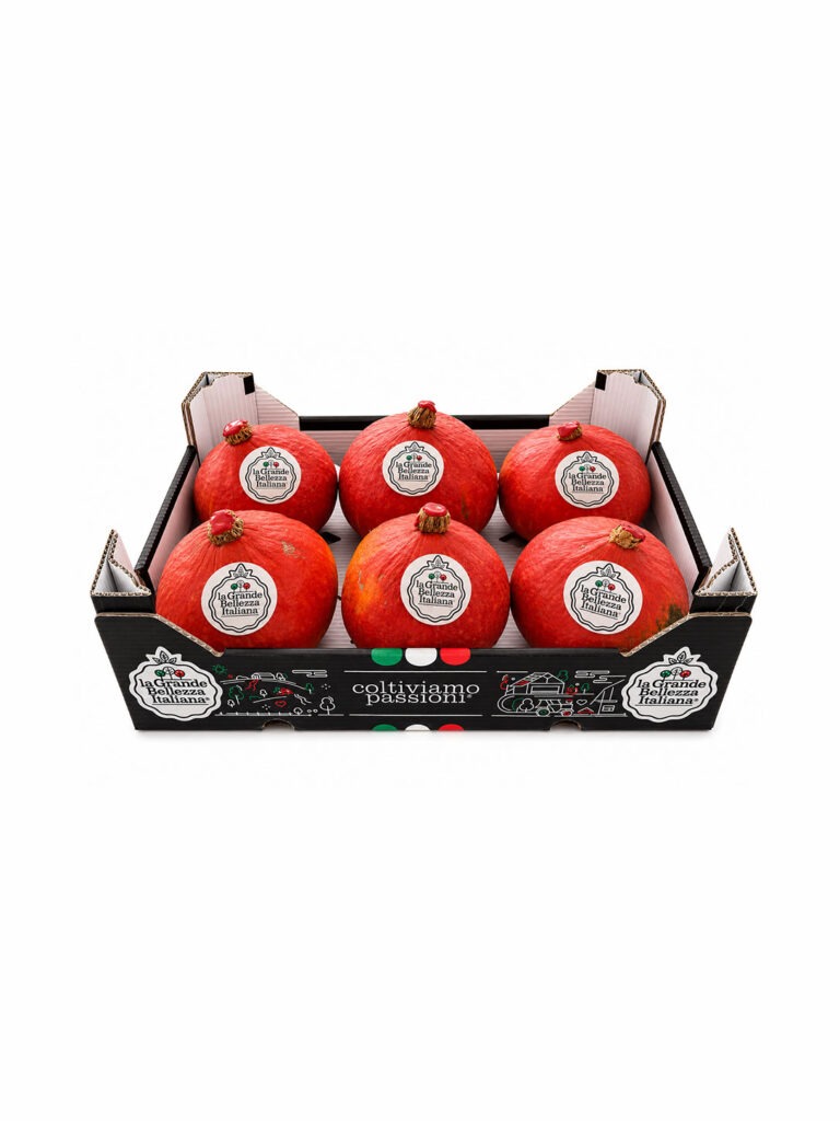 Zucca Hokkaido confezionata La Grande Bellezza Italiana